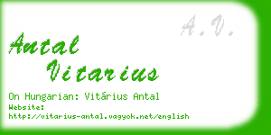 antal vitarius business card