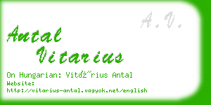 antal vitarius business card